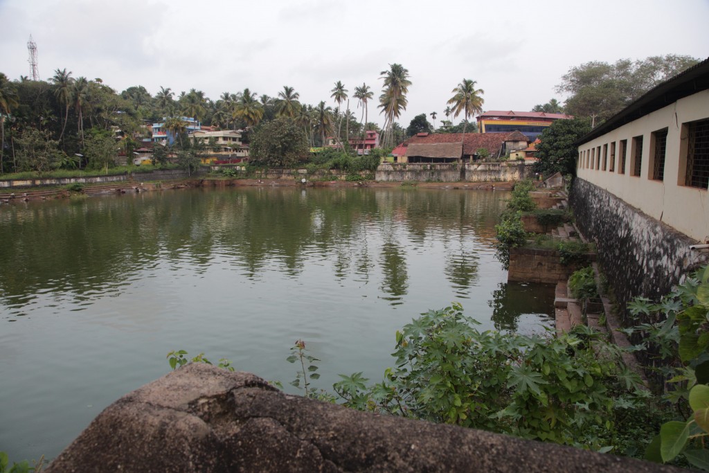 Many Hindu temples have ponds like this one in Varkala 