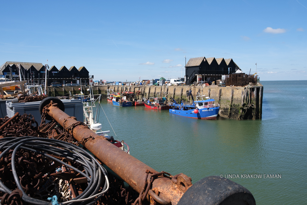 Harbor with metal rusty metal bar and chains in foreground, bright red and blue fishing boats against a pier in the background. 
