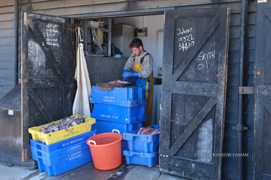 Main in harborfront building with wood barndoors, bright blue, yellow and red plastic tubs in front of him. Some fish are visible in the tubs and he is cutting up bait. 
