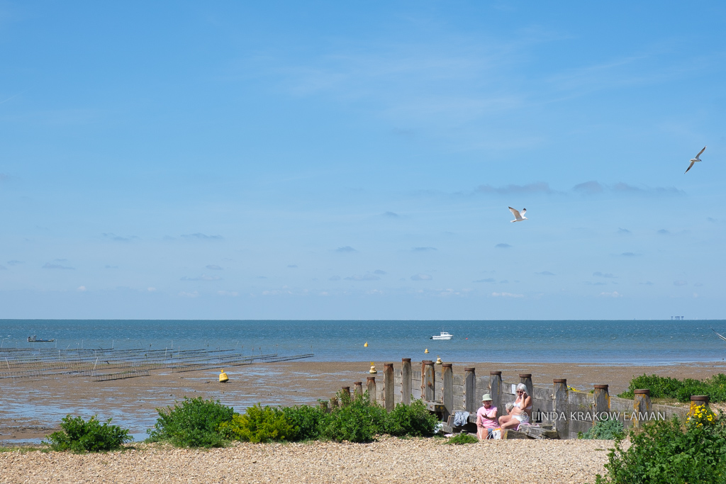 Two women sitting on a gravel beach, up against the wooden groyne (like a fence), with the ocean behind them. 