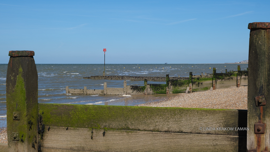 Wooden groynes like fences, pebble beach, ocean. Foremost groyne is covered in green moss and the metal bolts are rusty. 