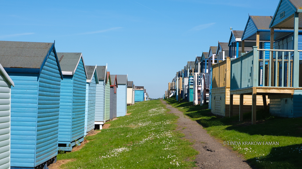 A grassy path between two rows of colorful beach huts