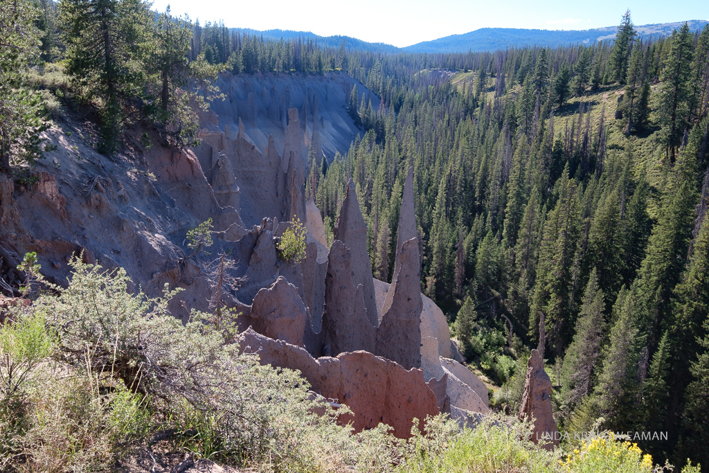 Tall, thin, pointy rock formations sticking up from canyone surrounded by tall evergreen forest.