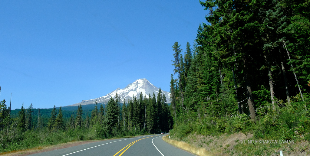 Road through evergreen forest, with white capped mountain rising up beyond. 