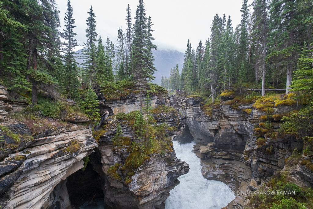 A wide angle landscape shows turbulent water rushing through carved, layered rocks with moss and evergreens perched on top. 