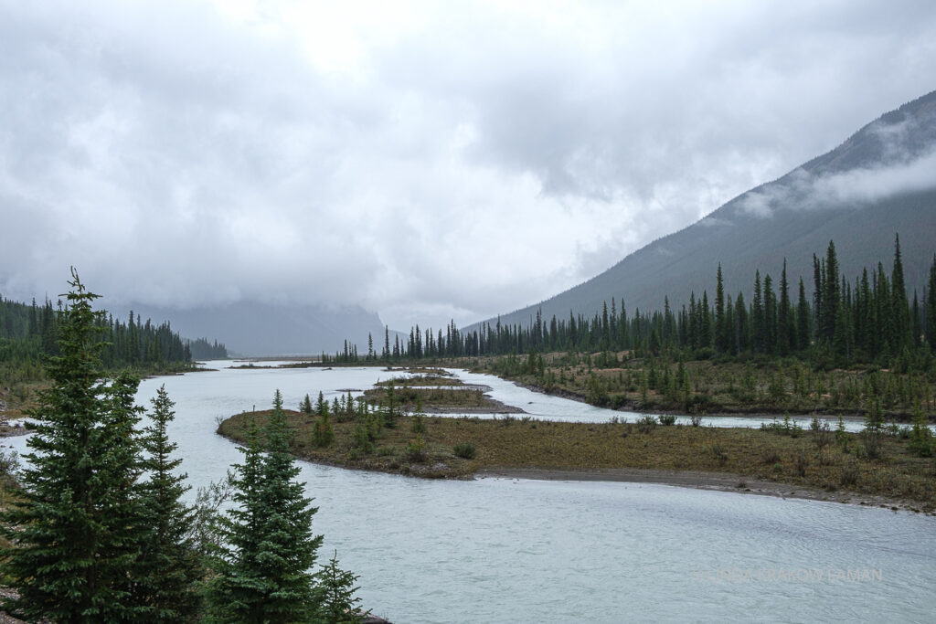 A wide river with sandbars covered in greenery and small evergreens winds through an evergreen forest. Cloud covered mountains in the background.