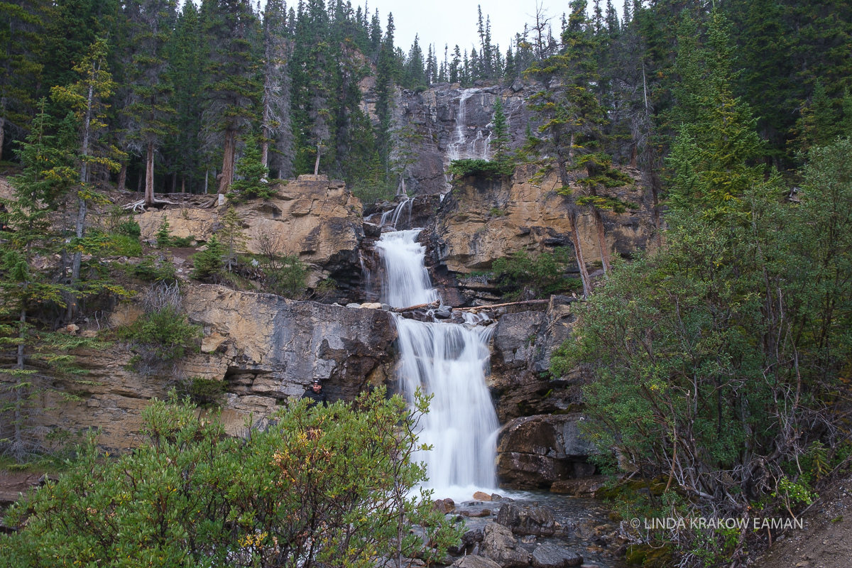 Multilevel waterfall cascades down a rocky, evergreen covered hillside