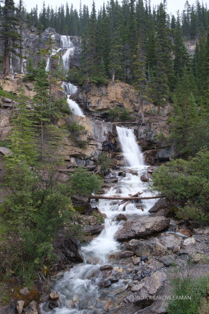 A tall, multilayered waterfall flows down a rocky hillside covered in evergreen trees. A man stands on the rocks halfway up dwarfed by the falls.