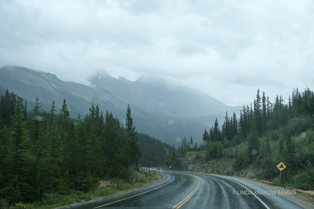 A view through the windshield of a wet road with evergreens on the sides and cloud covered mountains in the distance. 