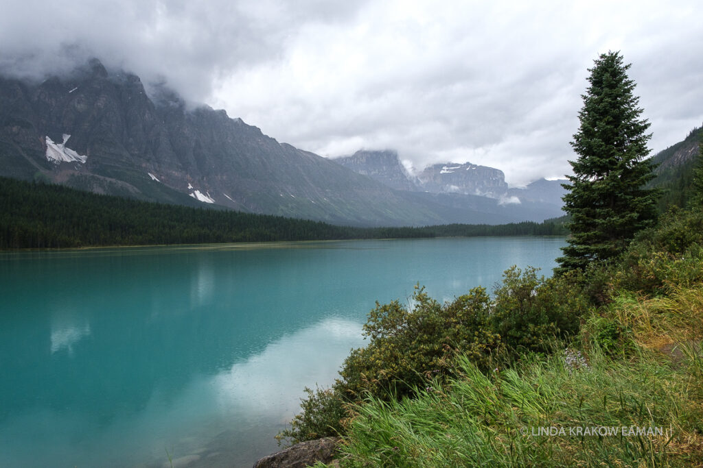 A turquoise lake reflects rocky mountains and a cloudy sky. Grass and an evergreen tree in the foreground.