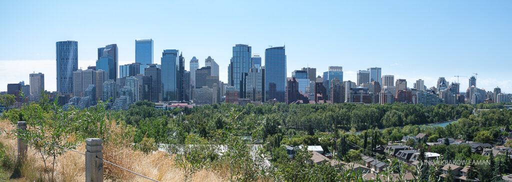 A view city of Calgary from an overlook, with trees and suburbs in the foreground; a river runs between them. 