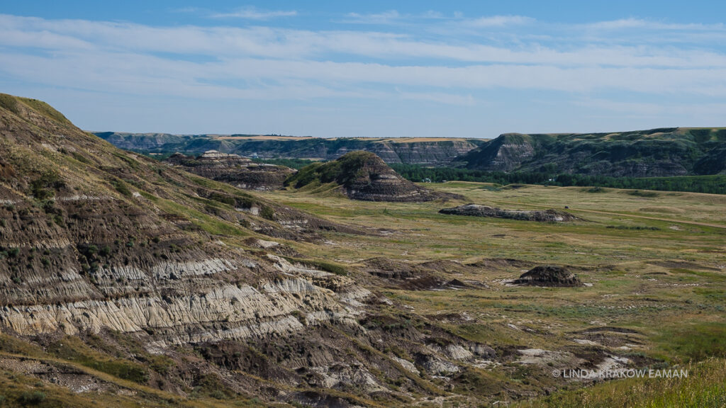 Buttes with stripes of grey, brown and black rise from a green valley floor