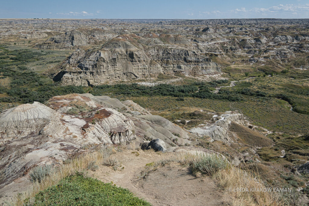 A view from above: buttes as far as the eye can see, rising over a green valley. 