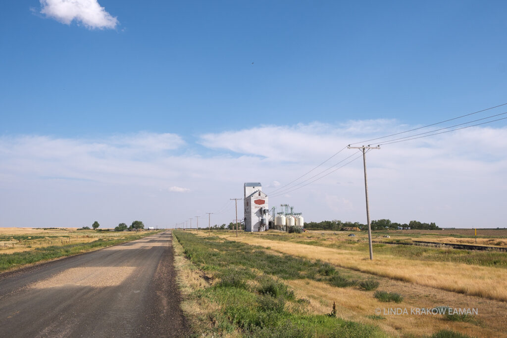 A grain elevator by the side of a country road, in the middle of fields of gold and green.