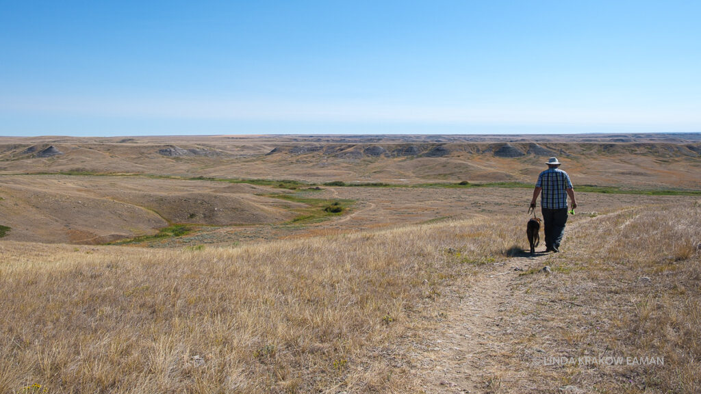 A man and a dog walk along a path overlooking a valley.