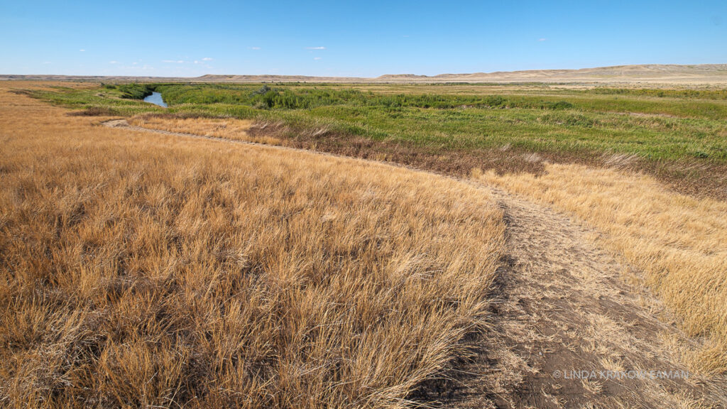 Gold and green grasses with a bit of a river. Blue sky.