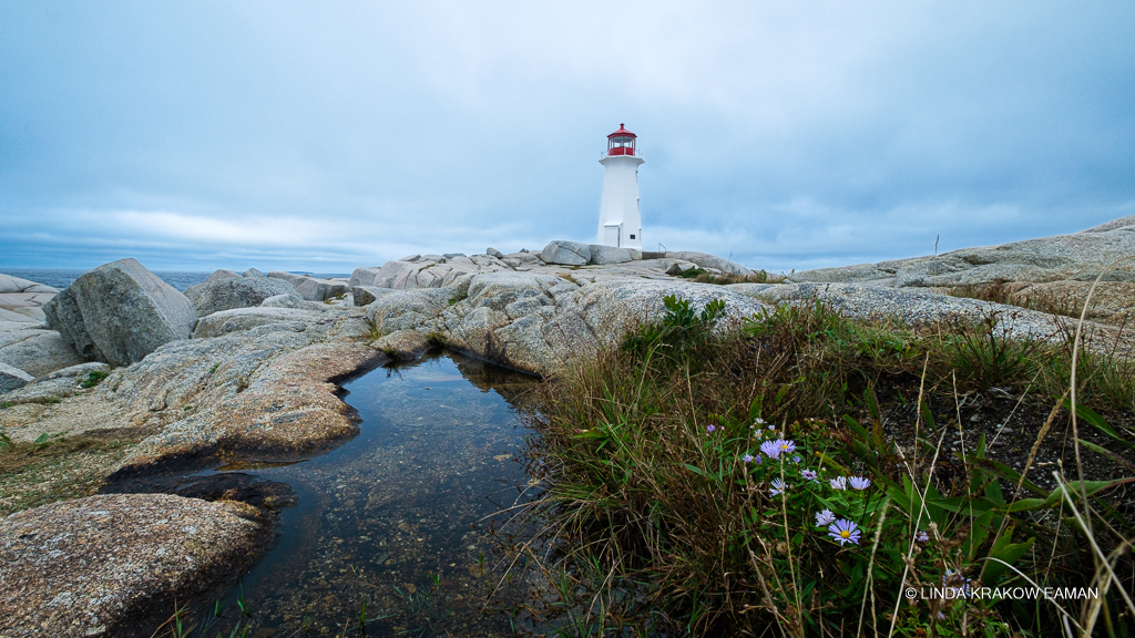 Peggy's Cove lighthouse, white with a red top, towers over rocky ground dotted with puddles and wildflowers