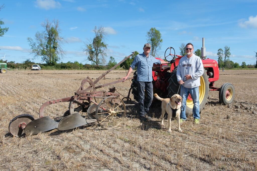 Two men with a smiling yellow labrador retriever stand in a field of crop stubble,  in front of an antique red tractor with an antique 2-furrow plow. 