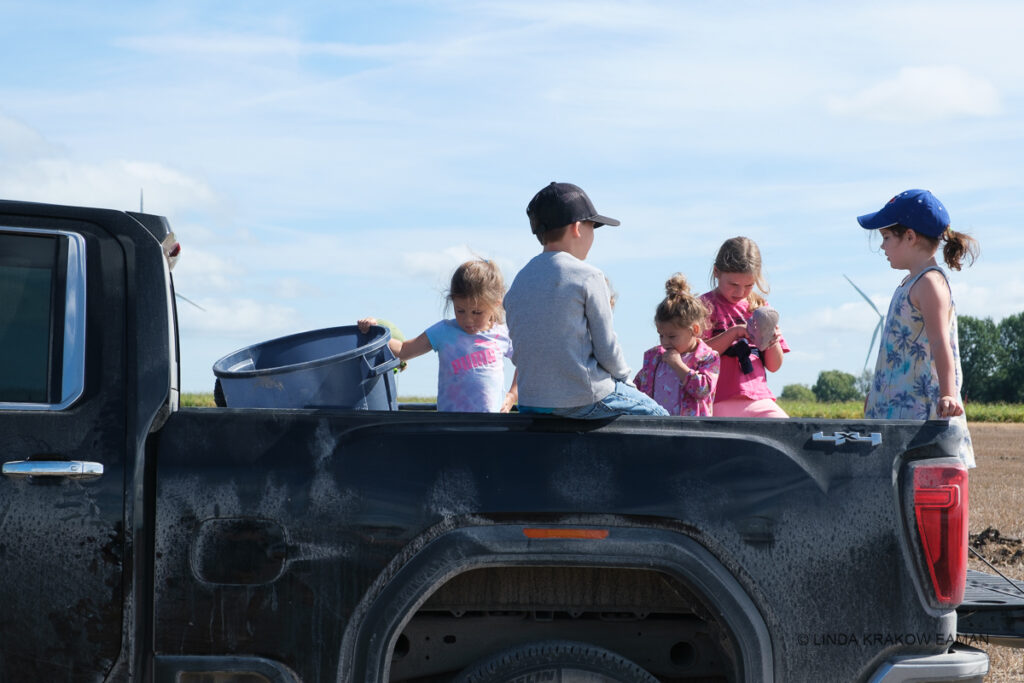 Five young children hanging out in the back of a black pickup truck