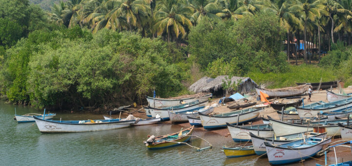 A group of small fishing boats are pulled up on a beach, surrounded by a jungle of trees including palm trees
