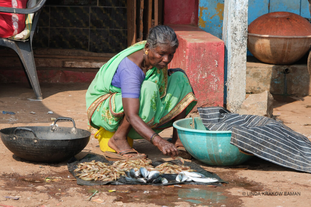 A gray haired woman in a light green sari sits on a yellow pail. She's wearing sandals. In front of her are two large shallow bowls with handles, and a small cloth on the ground is covered in small piles of small fish and shrimp. She's looking down and in the process of putting a shrimp on one of the piles. 