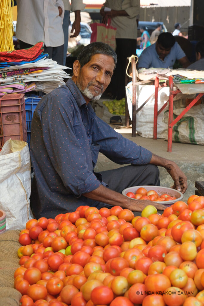 A man in a blue button down shirt, with dark hair and a trimmed gray beard, looks at the camera. He has a pile of tomatoes in front of him and a bowl of tomatoes in his lap. 